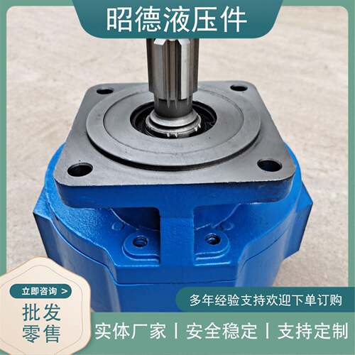 临工装载机工作泵4120002513JHP3160S高压齿轮泵