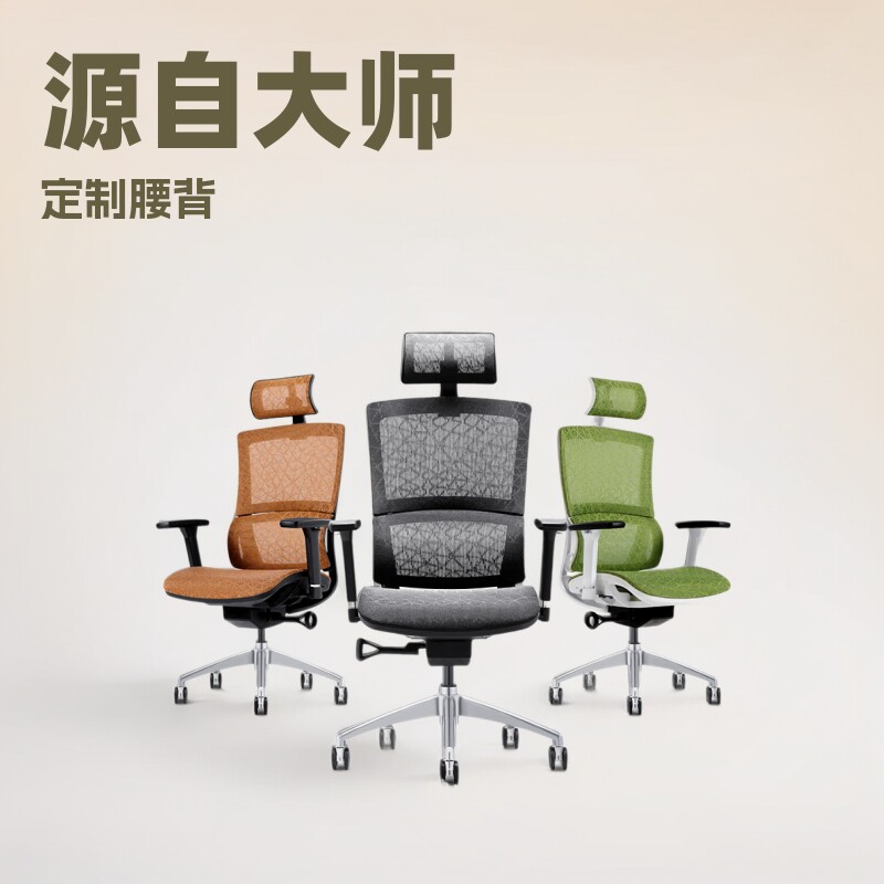 人体工学电脑椅家用护腰电竞座椅书房办公转椅靠背椅子网布久坐