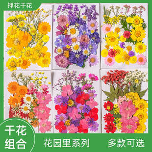 花材包干花包押花包儿童手工植物标本diy材料滴胶压花贴画花瓣妆
