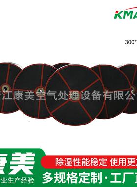 PPS-300_100除湿转轮分子筛去湿转轮干燥转轮烘干设备除湿转轮