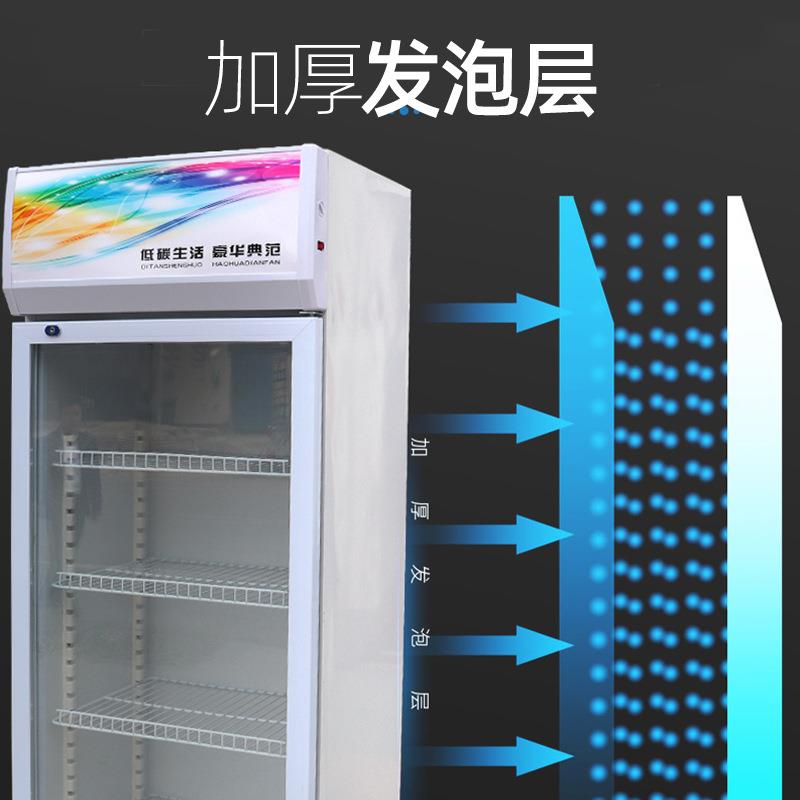 啤酒柜冷藏柜 超市立式冰柜双门铜管饮料柜 风冷无霜饮料展示柜