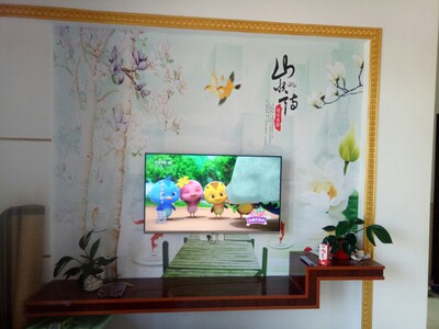 【画质对比】创维43H5和长虹43D5S哪个好，亮度质感哪个更佳？