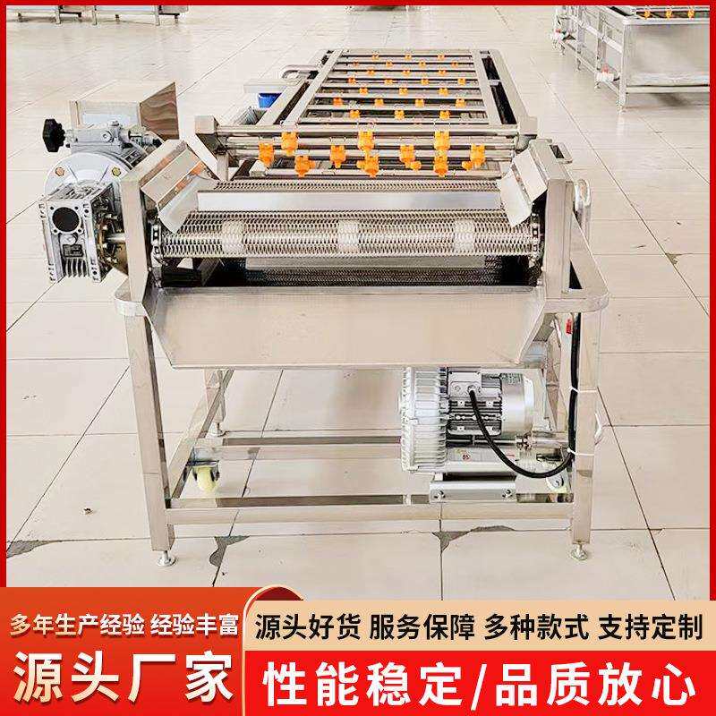 蓝莓清洗风干线草莓高压去泥清洗设备桑葚全自动气泡清洗机