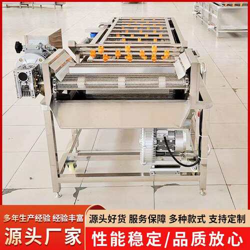 蓝莓清洗风干线草莓高压去泥清洗设备桑葚全自动气泡清洗机