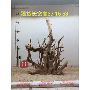 杜鹃根沉木造景草缸水陆缸雨林缸鸟架一木成景草缸水草装饰骨架