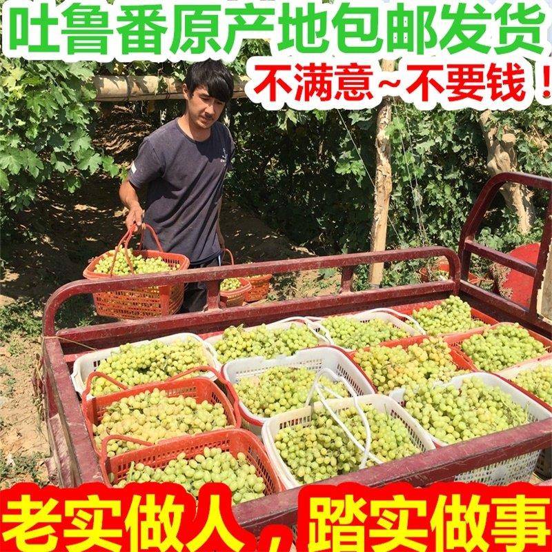 5斤新疆特产吐鲁番天然无添加提子绿宝石无核原味葡萄干500g*2