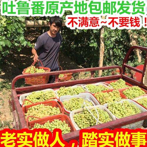 5斤新疆特产吐鲁番天然无添加提子绿宝石无核原味葡萄干500g*2
