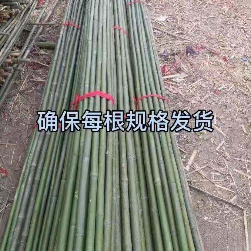 小竹竿蔬菜爬藤竹杆架种菜园搭架豆角架篱笆栅栏彩旗杆细竹子围栏