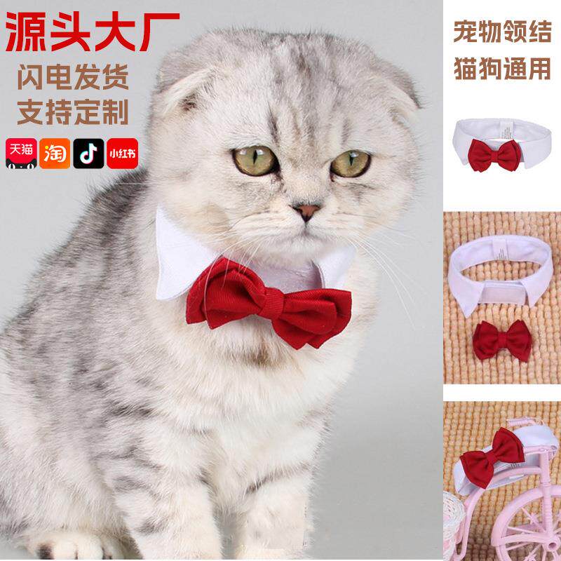 宠物狗狗领结项圈泰迪比熊领带红色蝴蝶结猫咪配饰饰品挂饰挂脖