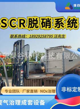 锅炉尾气治理 布袋除尘设备 Nox治理 沼气净化装置 scr脱硝