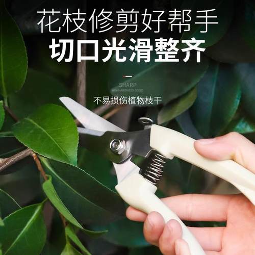 园艺园林果树剪刀修剪树枝盆栽工具家用绿化剪刀