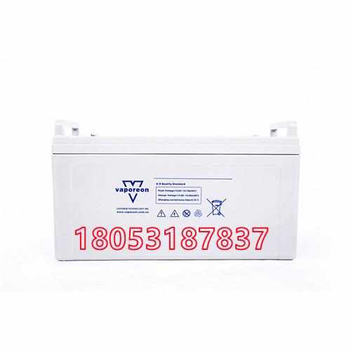 美国威派蓄电池V-12V24/40AH65AH100AH120AH150AH200AH铅酸免维护