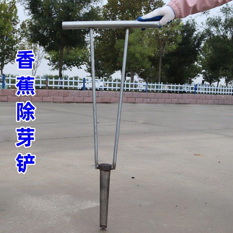 除香蕉芽加厚钻芯铲高效除芽工具香蕉除芽器挖芯器