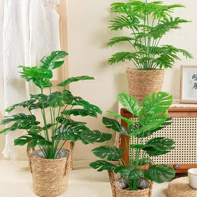 北欧风客厅仿真绿色植物龟背芋散尾葵小盆栽假绿植摆件装饰假花摆