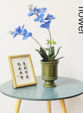 欧式ins风陶瓷花盆现代简约个性创意室内桌面蝴蝶兰石斛兰花盆