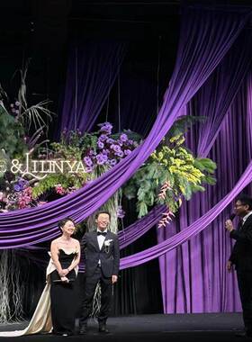 紫色牛奶丝弹力布婚庆装饰布婚礼堂纱幔酒店吊顶户外舞台背景挂布