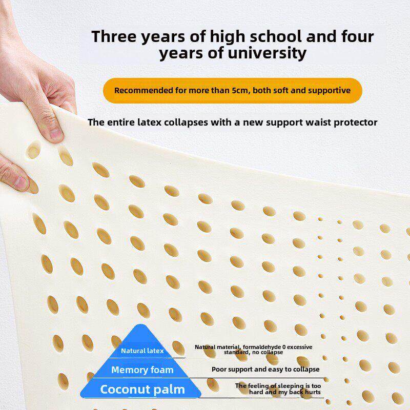 苏老波学生宿舍乳胶床垫单人床0.9米双层床宿舍房屋租赁特软垫