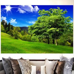 山川草地蓝天白云发财树自然风景画客厅沙发背景墙海报自粘装饰画