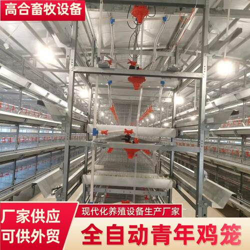 自动化层叠青年鸡鸡笼H型立式养殖设备养殖场养鸡用鸽子笼厂家