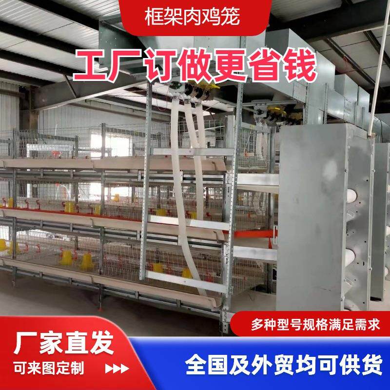 立体框架肉鸡笼生产厂家自动化养殖肉鸡工厂可外贸