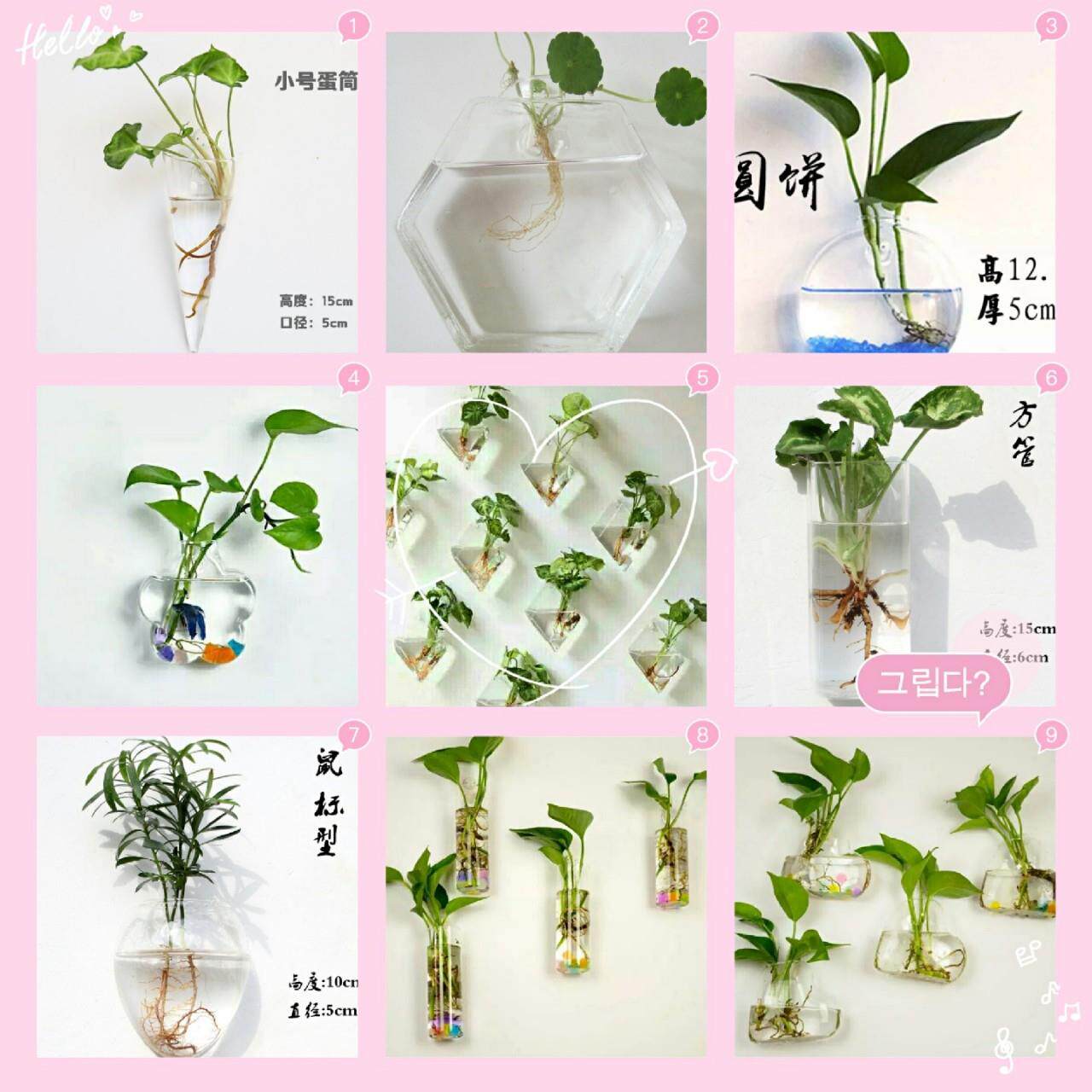 壁式玻璃花瓶创意家装迷你微景观生态瓶墙面造景水培容器