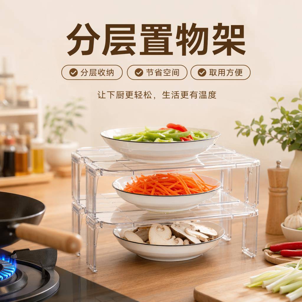 冰箱剩饭剩菜专用置物架放盘子子保鲜冷藏内部分隔层收纳整理神器