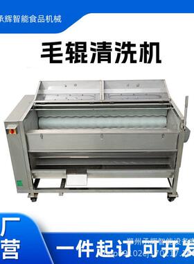全自动毛辊清洗机根茎蔬菜清洗设备土豆胡萝卜地瓜清洗机