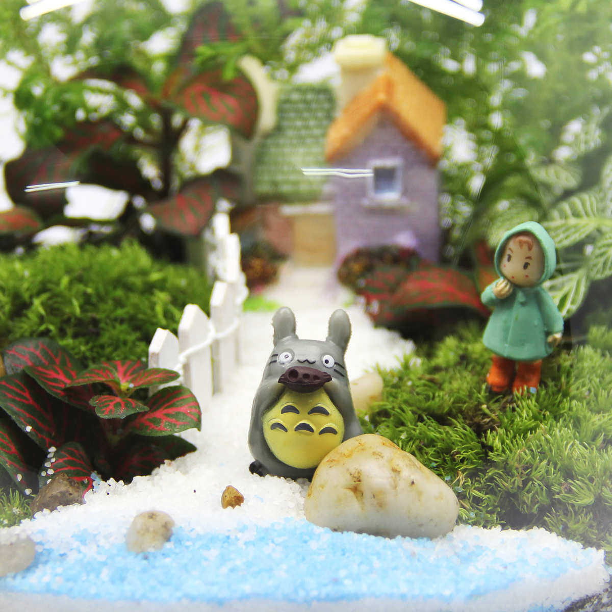 苔藓微景观造景瓶 玻璃盖瓶 情人生日礼品活植物 创意礼品材料包,宠物/宠物食品及用品,生态瓶/创意缸/微景缸,淘宝优惠券,粉丝福利购,淘宝优惠卷