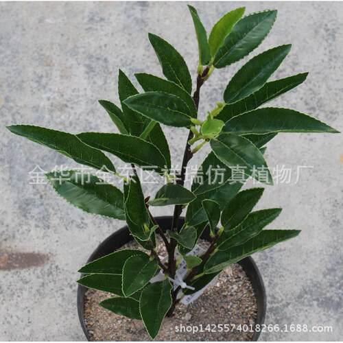仿真绿植人造假树叶毛尖茶叶绿茶室内外DIY家居装饰盆景摆设
