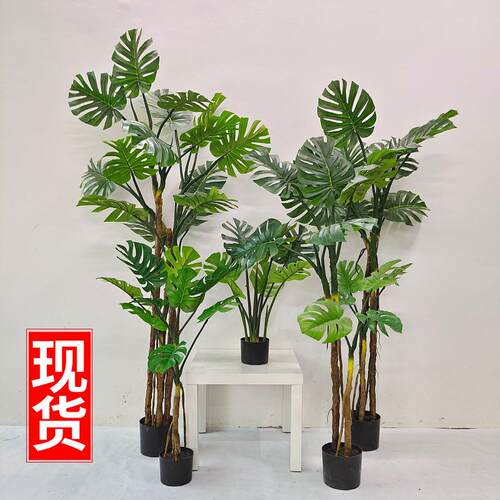 常青仿真植物装饰假绿植盆栽摆件PU吹塑杆 仿真北欧龟背树 现货