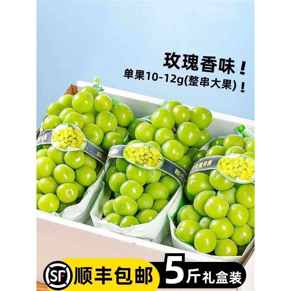 现货阳光玫瑰葡萄新鲜水果5斤礼盒晴王无籽香印青提当季整箱套袋