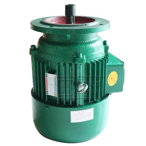真牛电机YEZ112S-4-3.0KW 摆线针减速机 锥形转子三相异步电动机