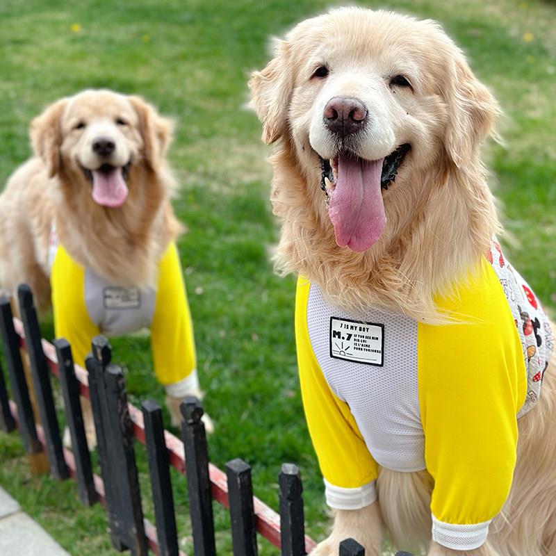 M.7夏季薄款防晒护肘衣中大型犬护肘服金毛拉布拉多哈士奇边牧