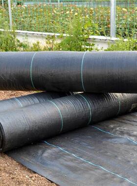 70克90克PP防草布除草布园艺地布地钉地膜抗老化果园盖草抑草布