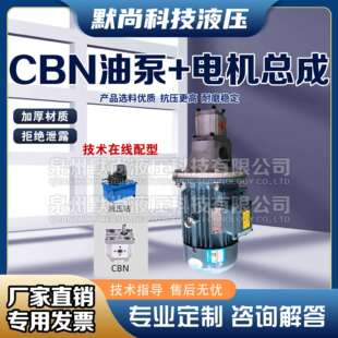 液压油泵电机组CBN+1.5KW2.2KW液压泵总成内轴电机液压站配件系统