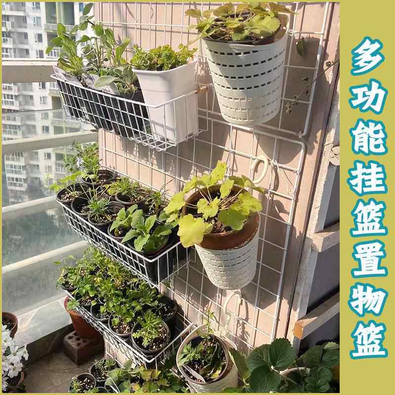 网格铁网加粗铁丝挂篮蝴蝶兰吊篮阳台植物爬藤花架墙上宿舍超市置