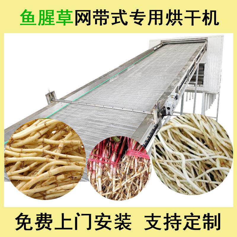 鱼腥草烘干机网带全自动折耳根臭荞麦脱水烘干设备狗耳菜干燥机