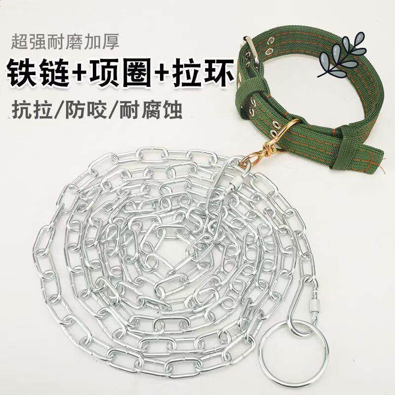狗炼子狗项圈中大小型犬宠物用品拴狗的铁炼拴狗绳脖套狗狗牵引绳