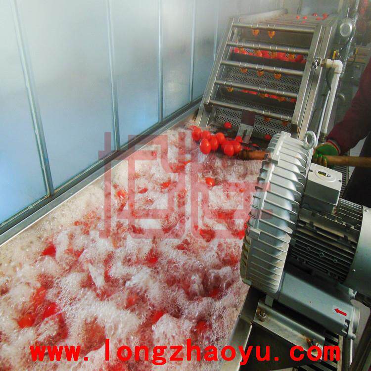 鼓泡清洗机鼓泡机果蔬鼓泡清洗机鼓泡机带预热预煮