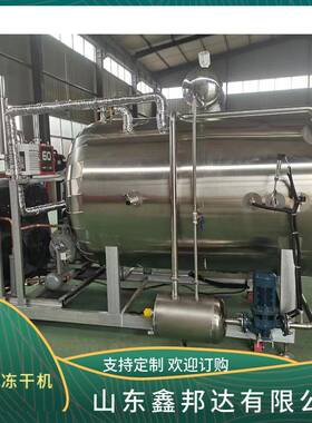 真空冻干机桑葚冷冻干燥机银耳羹低温冷冻机水果冻干设备电加热