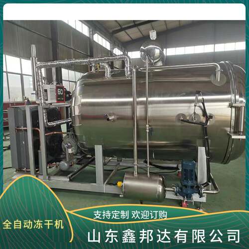 真空冻干机桑葚冷冻干燥机银耳羹低温冷冻机水果冻干设备电加热