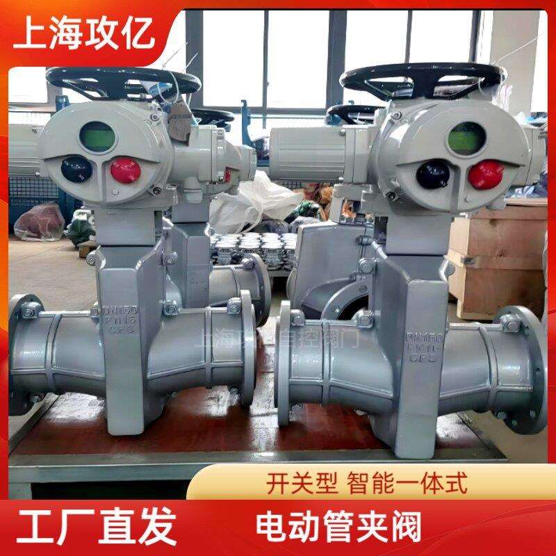 攻亿 GJ941X-6L电动管夹阀 防腐、抗冻、含隔爆阀门装置 DN65图片