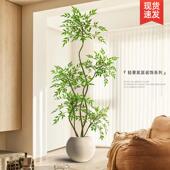 南天竹彷真绿色植物大型室内盆栽装 饰花摆件客厅落地树高级彷生假