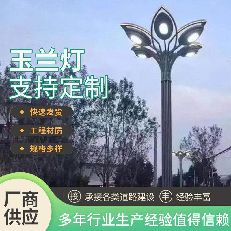 玉兰灯大杆灯室外装饰组合LED路灯市政公路广场户外照明中华灯