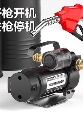 电动抽油泵1携2v24220v柴油泵vJOB加油机齿轮泵小型自式吸便抽油