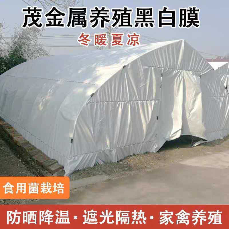 pe食用菌大棚膜养殖薄膜塑料膜反光黑白化防老塑料防晒隔热膜加厚