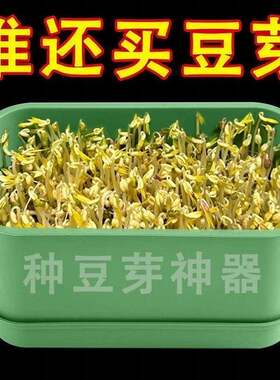 家用食品级豆芽盆绿豆花生芽