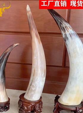 白厂牦牛加角单角摆件白牛角牦牛角立角角牛角工艺品牛梳子家工