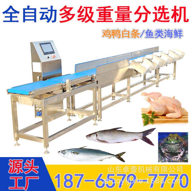 三文鱼 鳟鱼 鲑鱼鳕鱼甲鱼马步鱼多宝鱼 鱼类皮带式分拣机 摆臂分