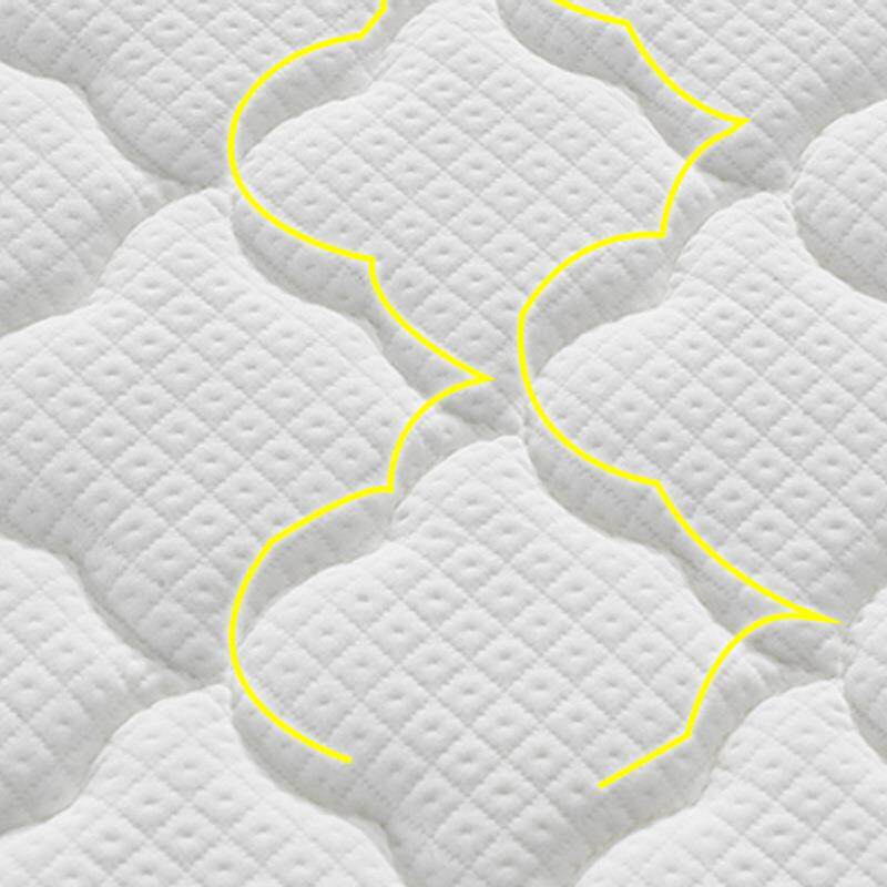 全棕床垫1.2米1.5m1.8米儿童环保椰棕5公分8薄偏硬棕垫白色成人单